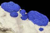 Brilliant Blue Azurite Sun Cluster On Rock - Australia #77624-1
